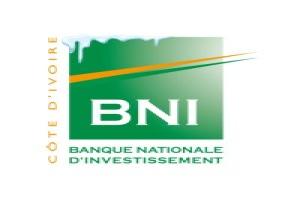 Banque Nationale d'Investissement